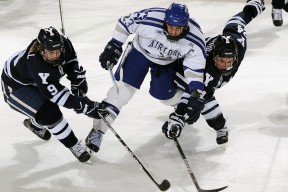 开云体育下载-欧冠半决赛之夜，奥斯梅恩一球定乾坤，那不勒斯书写蓝色传奇
